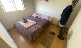 Imagem 6: APARTAMENTO-AFONSO PENA