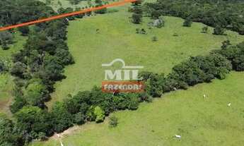 Imagem 3: Fazenda Colonial Goiás velho 34 alqueires ótima localização