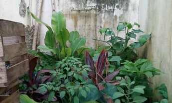 Imagem 2: Vendo Terreno 2.2x6 Curado 3 p/Comércio