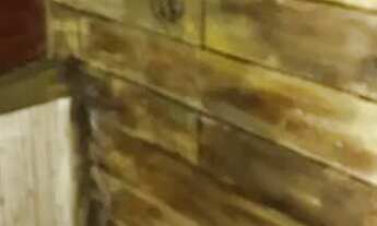 Imagem 6: Kitinete Casa com 1 dormitório