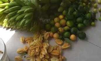 Imagem 4: Vendo chácara em Viana