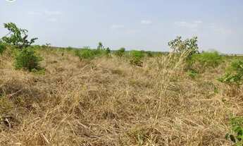Imagem 2: FAZENDA Á VENDA EM BALSAS - MA - 410 HECTARES (DUPLA APTIDÃO