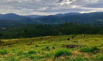 Imagem 6: Terrenos a venda