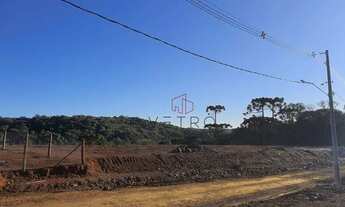 Imagem 2: Terreno no Loteamento Marsal em Gramado!