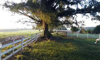 Imagem 5: 35 Hectares em Montenegro!