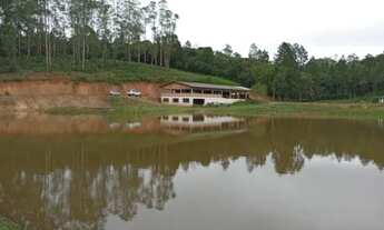 Imagem 6: Excelente sitio a venda com 11 Alqueires. Tel. *