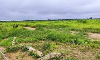Imagem 2: Fazenda 29.000 hectares a venda no Maranhão
