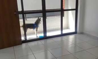 Imagem 2: Alugo no Bessa. APT térreo.3 qts e área externa. novo. tratar pelo watts ZAP 83.99653.8797