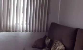 Imagem 3: Apartamento com 3 quartos no Bairro Salgado Filho