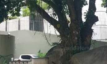 Imagem 3: Apartamento 3 quartos em Praia do Canto