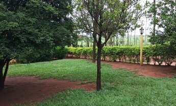 Imagem 7: Compro sítio em Londrina PR até 7.5 milhões