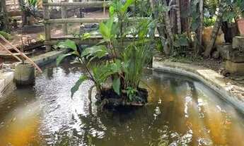 Imagem 7: Linda Chácara a 17km de Governador Valadares-MG