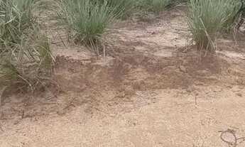 Imagem 3: Fazenda 29.000 hectares a venda no Maranhão