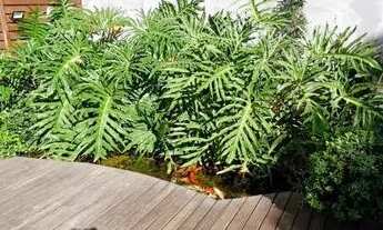 Imagem 6: Prédio para Venda em Esteio, Centro