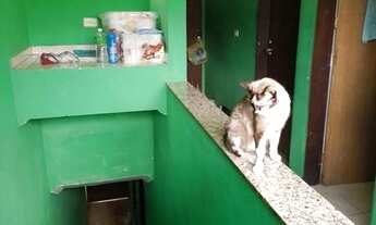 Imagem 2: 88 Imóvel a Venda no ABC