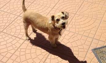 Imagem 7: Aluguel Temporada, A Partir de R$156/dia, Poucas Acomodações - Consulte disponibilidade