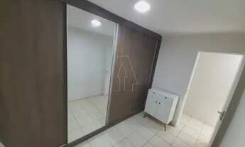 Imagem 6: Araçatuba - Apartamento - Conjunto Habitacional Doutor Antônio Villela Silva