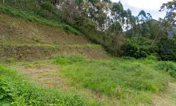 Imagem 2: Terreno à venda, Cônego - Nova Friburgo/RJ