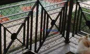 Imagem 2: Apartamento com 3 dormitórios à venda, 75 m² por R$ 530.000,00 - Jardim Peri Peri - São Pa