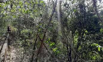 Imagem 7: Lote/Terreno para venda tem 1604 metros quadrados em Jacarepaguá - Rio de Janeiro - RJ