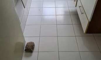 Imagem 2: Alugo apto 2 dormitórios - Próximo Av Sabará - R$2200 Pacote