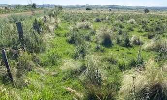 Imagem 4: Campo 62 hectares