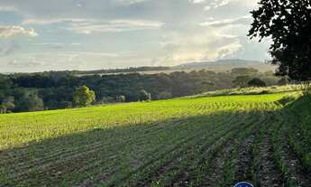 Imagem 2: Chácara à Venda em Goiás Velho - GO