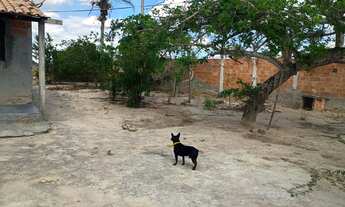 Imagem 5: Chácara em sítios novos