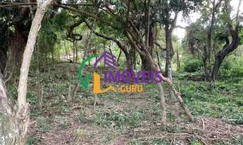 Imagem: AREA - JARDIM PARAÍSO DA USINA - SP