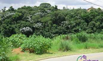 Imagem 7: TERRENO - JARDIM PAULISTA - SP