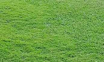 Imagem 6: Chácara no Bairro Chácara Fernão Dias, Bragança Paulista/SP