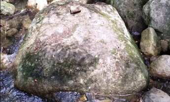 Imagem 2: EXCELENTE CASA COM UMA ENORME ÁREA VERDE