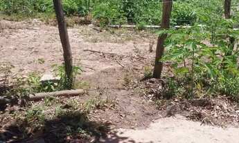 Imagem 4: Sítio com 3,5 alqueires na região do Xuri