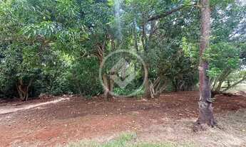 Imagem 5: Hidrolândia - Sitio de 4,17 Alqueires codigo: 161721