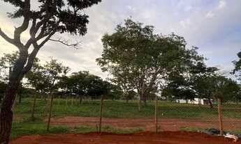 Imagem 2: Chácara 1000m - 14km Uberlândia