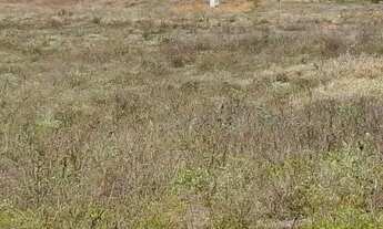 Imagem 5: Excelente fazenda de 6.000t , com sede, curral, represas, poços e pastagem