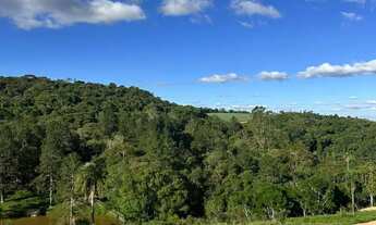 Imagem 7: Natureza e conforto: lote 500m² em condomínio fechado!