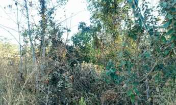 Imagem 7: Chácara com 1 dormitório à venda, 21600 m² por R$ 368.000,00 - Uberlândia - Prata - Uberlâ