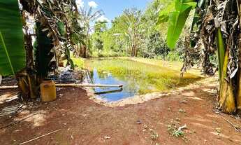 Imagem 5: Chácara Produtiva à Venda em Rio Verde