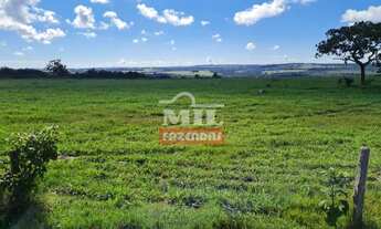 Imagem 10: Fazenda 414 alqueires (2.007 hectares) Caiapônia - Go