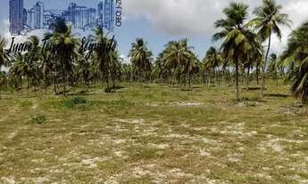 Imagem 6: Terreno no Litoral Norte Baiano com 177 hectares e a 750 metros frente de praia!