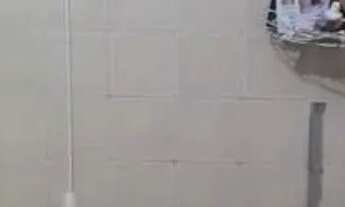 Imagem 6: CASA TÉRREA - VILA PALMARES - SP