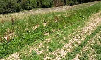 Imagem 3: Terreno a venda 18min do centro Ibiúna