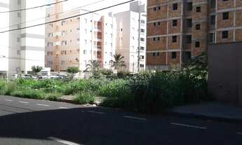 Imagem 3: Higienopolis - Área em rua RESIDENCIAL e comercial 762 m² ótimo para comércios em geral