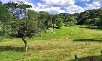Imagem 5: Chácara na Linha Vicentina