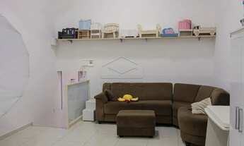 Imagem 5: JARDIM DAS DRACENAS - BARRA BONITA/SP