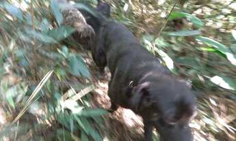 Imagem 7: Super 5 mil mts quadrados na crista da colina plaino