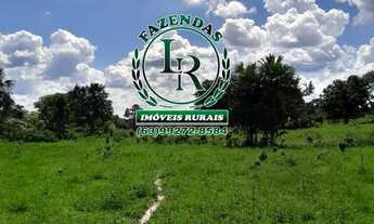 Imagem 6: Fazenda 100 Aqueires Dupla Aptidão Tocantins