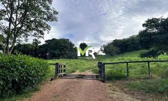 Imagem 7: Fazenda 32 alqueires a venda Caldas Novas - GO