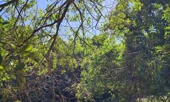 Imagem 3: Excelente Chácara em Condomínio fechado